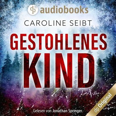 Gestohlenes Kind - Caroline Seibt, Audio, 9783987782268