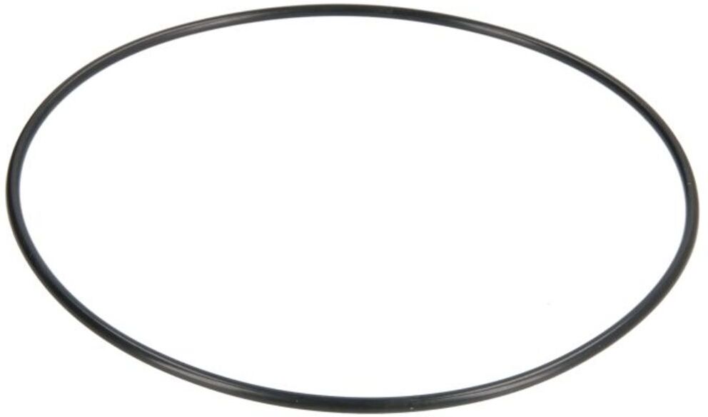 O-Ring, Differential ZF 0634304616ZF