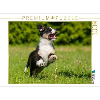 CALVENDO Puzzle Ein Motiv aus dem Kalender Bekannt wie ein bunter Hund. Australian Shepherd - Familienplaner hoch | 1000 Teile Lege-Größe 64x48cm Foto