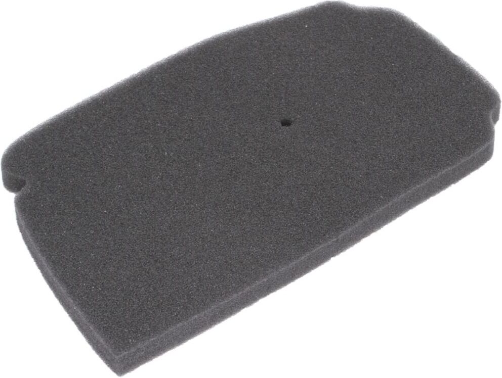 Luftfilter RMS 10 060 0170