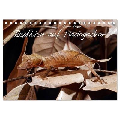Reptilien auf Madagaskar (Tischkalender 2027 DIN A5 quer), CALVENDO Monatskalender
