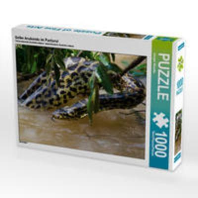 CALVENDO Puzzle Gelbe Anakonda im Pantanal 1000 Teile Lege-Größe 64 x 48 cm Foto-Puzzle Bild von Juergen Woehlke
