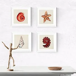 POSTER Set mit 4 Bunte Muscheln 25x25 cm Schwarzer Rahmen