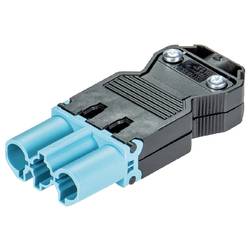 Wieland Electric 92.932.3753.0 Steckverbinder