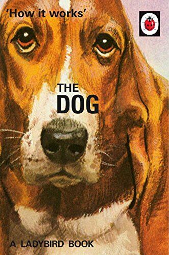 Jason Hazeley - How it Works: The Dog (Ladybirds for Grown-Ups) - Preis vom 09.10.2026 07:28:09 h