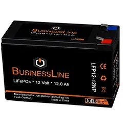 Ersatzbatterie Lithium klein (LiFePO4 Akku) 12V 10Ah mit BMS