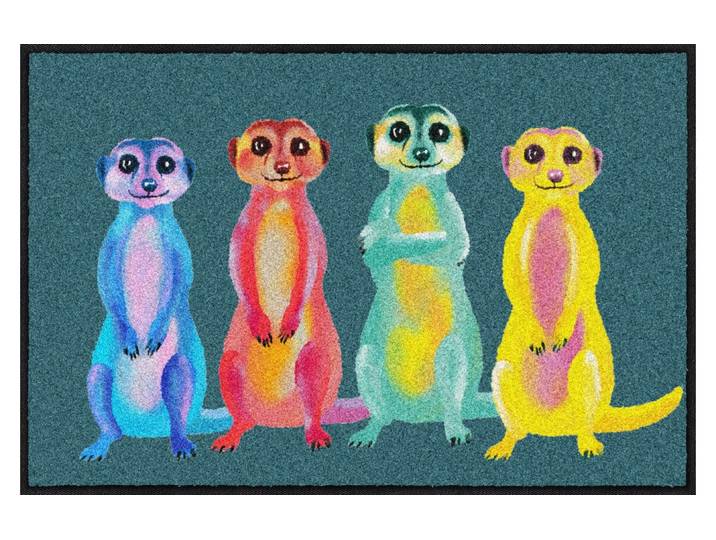 Fussmatte SALONLOEWE Rainbow Meerkats 50 cm x 75 cm , bunt (mehrfarbig), B:50cm L:75cm, Polyamid, Teppiche, Fussmatte