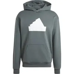 ADIDAS Herren Kapuzensweat Future Icons Badge of Sport, Größe L in Grau Grau