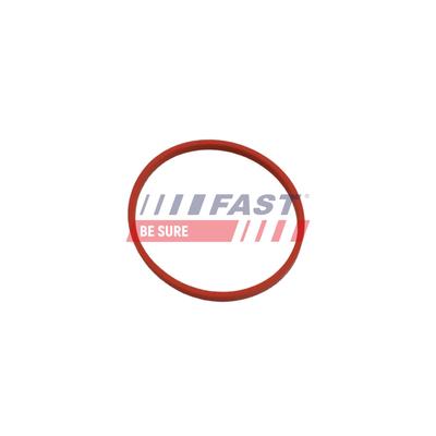 FAST Dichtung, Leitung AGR-Ventil FT49868 für RENAULT
