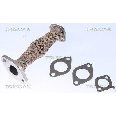 Triscan Rohrleitung, AGR-Ventil [Hersteller-Nr. 881129103] für VW, Skoda, Audi