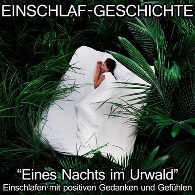 Einschlaf-Geschichte - Eines Nachts im Urwald - Raphael Kempermann, Audio, 4061707625381