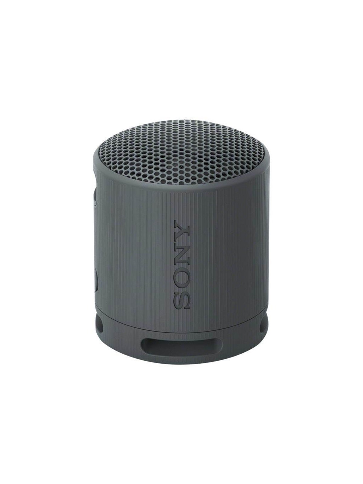 Sony SRS-XB100 - Portable speaker - Black