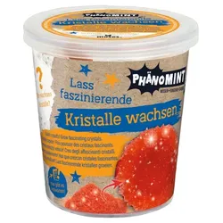 Moses PhänoMINT - Kristalle züchten