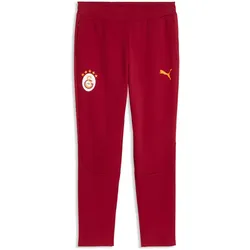 PUMA Galatasaray Istanbul Evostripe Jogginghose 2026/27 Herren 01 - dark cherry/summer sunset S