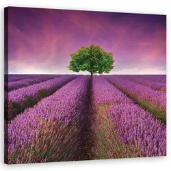 LEINWANDBILD, Landschaften - Lila 50x50cm