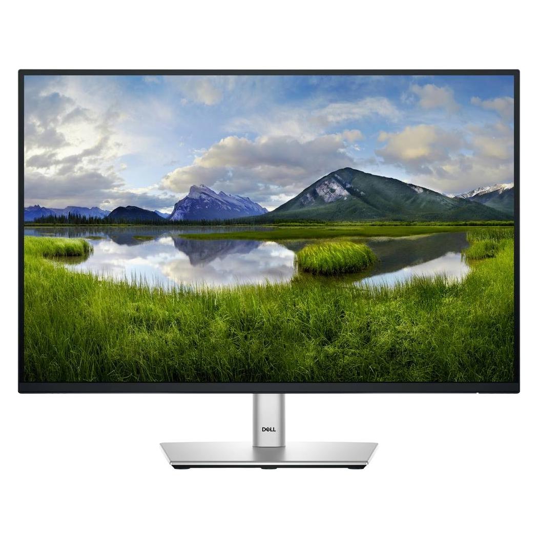 Dell P2425 (1920 x 1200 Pixel, 24.07") (DELL-P2425)