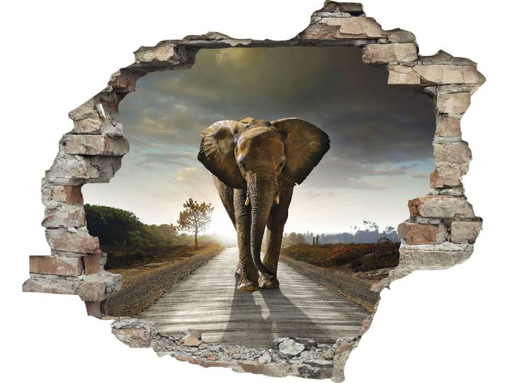 Wandtattoo QUEENCE Elefant , beige (natur), B:60cm H:50cm T:0,1cm, Wandtattoos, Wandtattoo, Wandsticker, Wandbild, selbstklebend, 3D, Wanddurchbruch