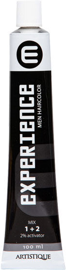 100ml Artistique Experience Men Hair Color