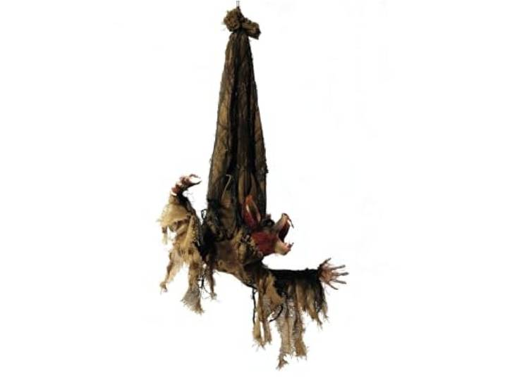 Euro Palms Woonaccessoires & Decoratie, Bruin
