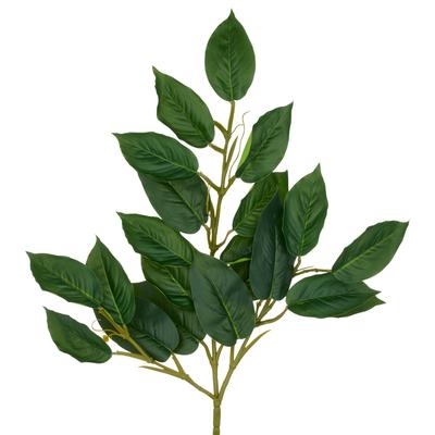 Kunstzweig CREATIV GREEN "Ficuszweig", grün, H:66cm, Kunststoff, Kunstpflanzen, Kunstzweig, mit naturgetreuem Blattwerk