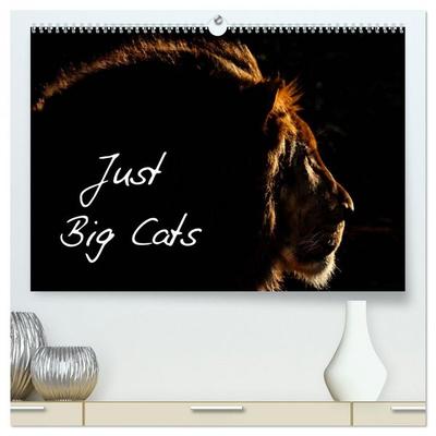 Just Big Cats (High Quality Premium Wall Calendar 2026 DIN A2 landscape),CALVENDO 12 Month Wall Calendar