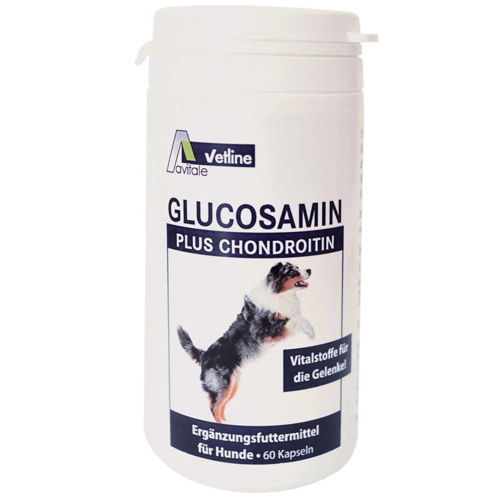 Glucosamin+Chondroitin Kapseln f.Hunde 60 St