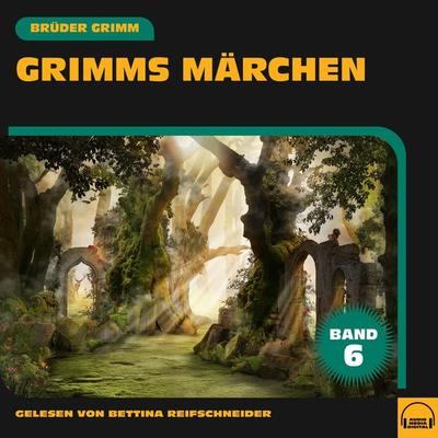 Grimms Märchen (Band 6) - Brüder Grimm, Audio, 9783991718864