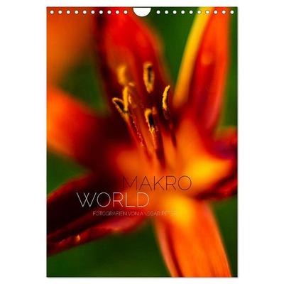 Makro World (Wandkalender 2026 DIN A4 hoch), CALVENDO Monatskalender