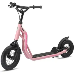 Star Scooter, Scooter