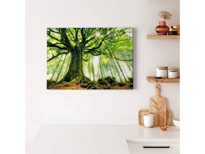 Leinwandbild Kiciak Polyester PVC / Fichtenholz Grün 70 x 50cm