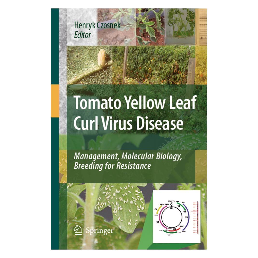 Springer Tomato Yellow Leaf Curl Virus Disease (Englisch, Softcover, Henryk Czosnek) (55378390)