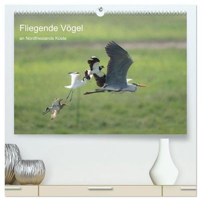 Fliegende Vögel an Nordfrieslands Küste (hochwertiger Premium Wandkalender 2027 DIN A2 quer), Kunstdruck in Hochglanz