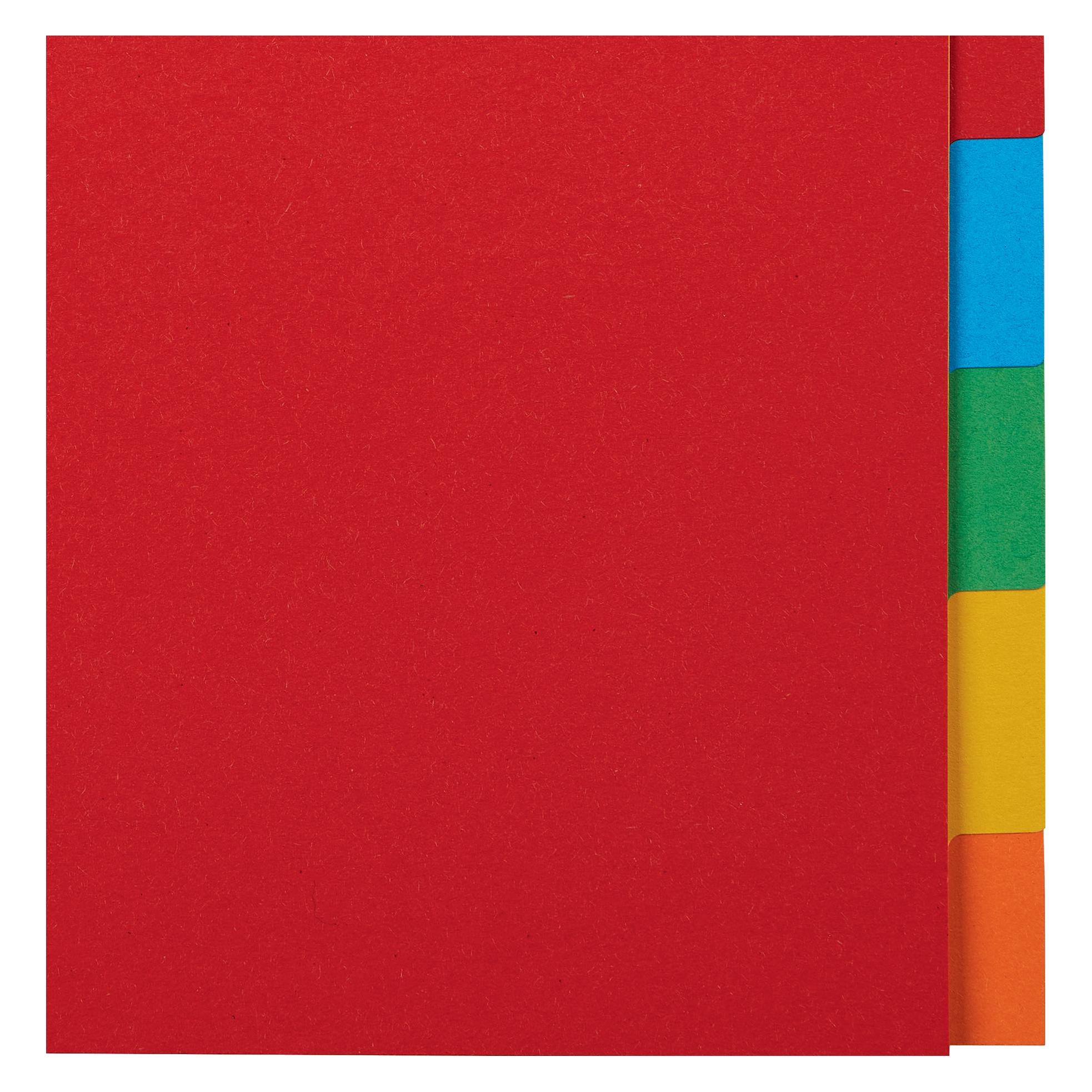 Esselte Kartonregister Blanko (100201)