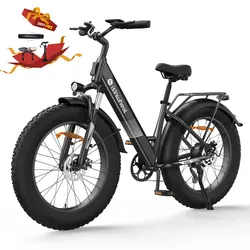 isinwheel M60 E-Fatbike Cruiser mit 26 Zoll Fat Tires 750W Motor