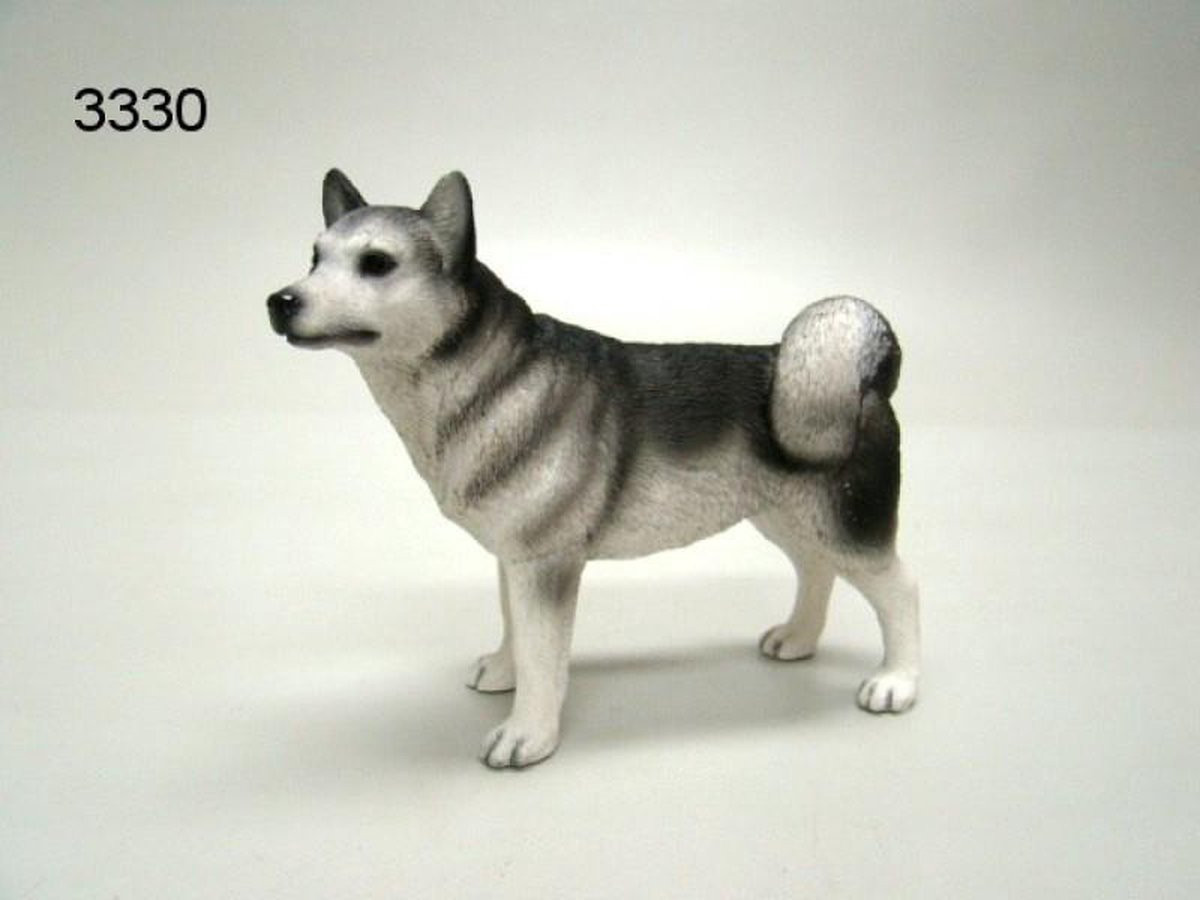 Leonardo Beeld hond Husky