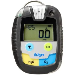 2-in Eingasmessgerät Pac 8500 H2S LC/O2