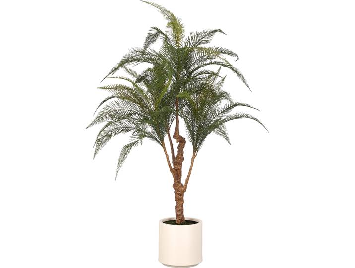 Kunstpflanze CREATIV GREEN Farn Alsophila australis , grün, H:13cm, Obermaterial: 100% Kunststoff, Kunstpflanzen, Kunstpflanze, mit naturgetreuen Farnwedeln
