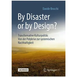 By Disaster or by Design?, Fachbücher von Davide Brocchi