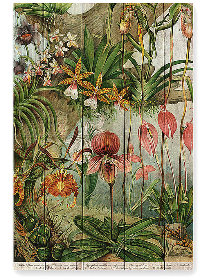 Madre Selva Holzdruck "Jungle Flowers" - (B)40 x (H)60 cm - onesize