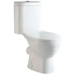 DM-San Duschmeister WC-Monoblock mit WC-Sitz AW Sano.. - Badkeramik