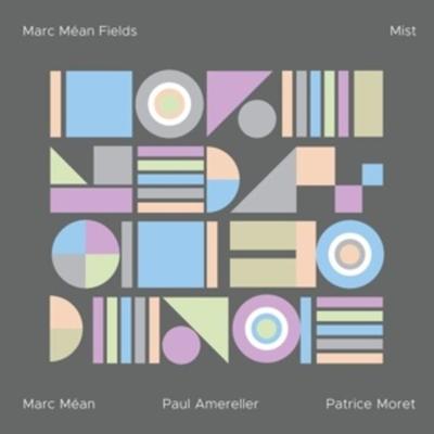 Mist - Marc Mean Fields, Vinyl
