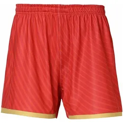 Kappa, Herren, Sporthose, Shorts – Auswärts Stade Français Kombat Ryder 2023/24 (XXL), Gold, Rot
