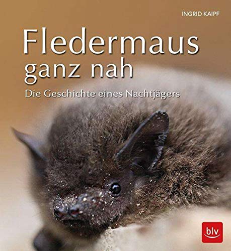 Ingrid Kaipf - Fledermaus ganz nah: Die Geschichte eines Nachtjägers (BLV) - Preis vom 02.10.2026 23:42:20 h