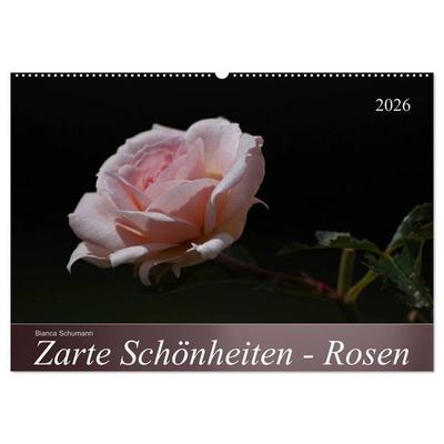 Zarte Schönheiten - Rosen (Wandkalender 2026 DIN A2 quer), CALVENDO Monatskalender