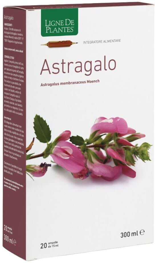 NATURA SERVICE Srl ASTRAGALO 20AB 15ML