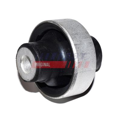 FAST Lagerung, Lenker FT18290 Vorderachse für Fiat