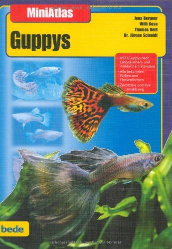 Jens Bergner - Guppys, MiniAtlas - Preis vom 30.09.2026 09:01:18 h