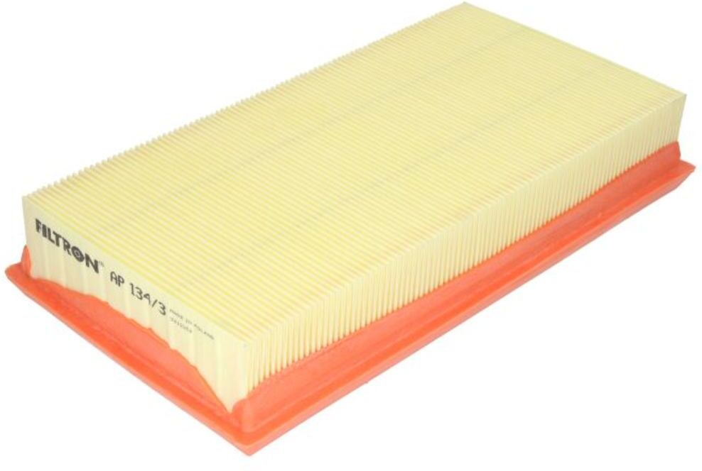 Filtron Filtro aria AP134/3