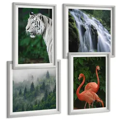 BILDER SET 4er Set - 50x50 cm & 40x60 cm Silberner Rahmen - Tiger Wasserfall Flamingos Natur