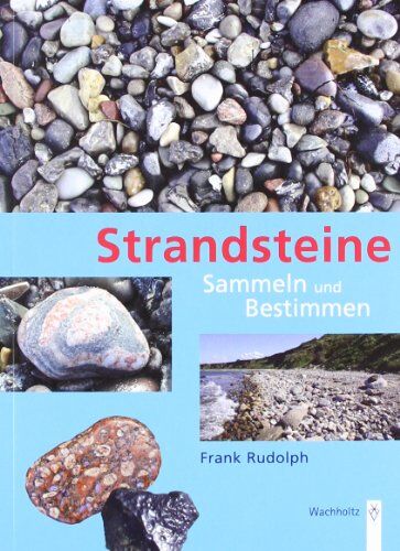 Frank Rudolph - Strandsteine. Sammeln und Bestimmen. - Preis vom 06.10.2026 07:26:00 h